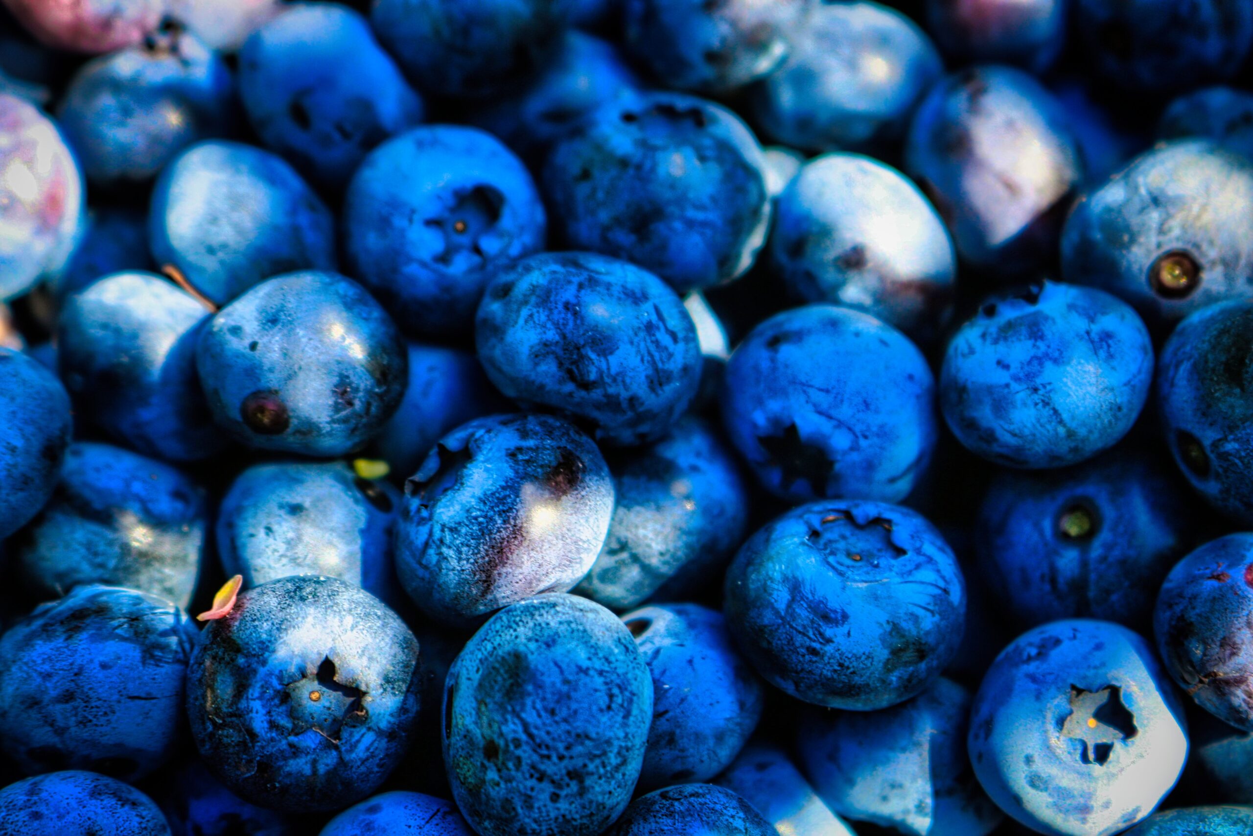 blueberries