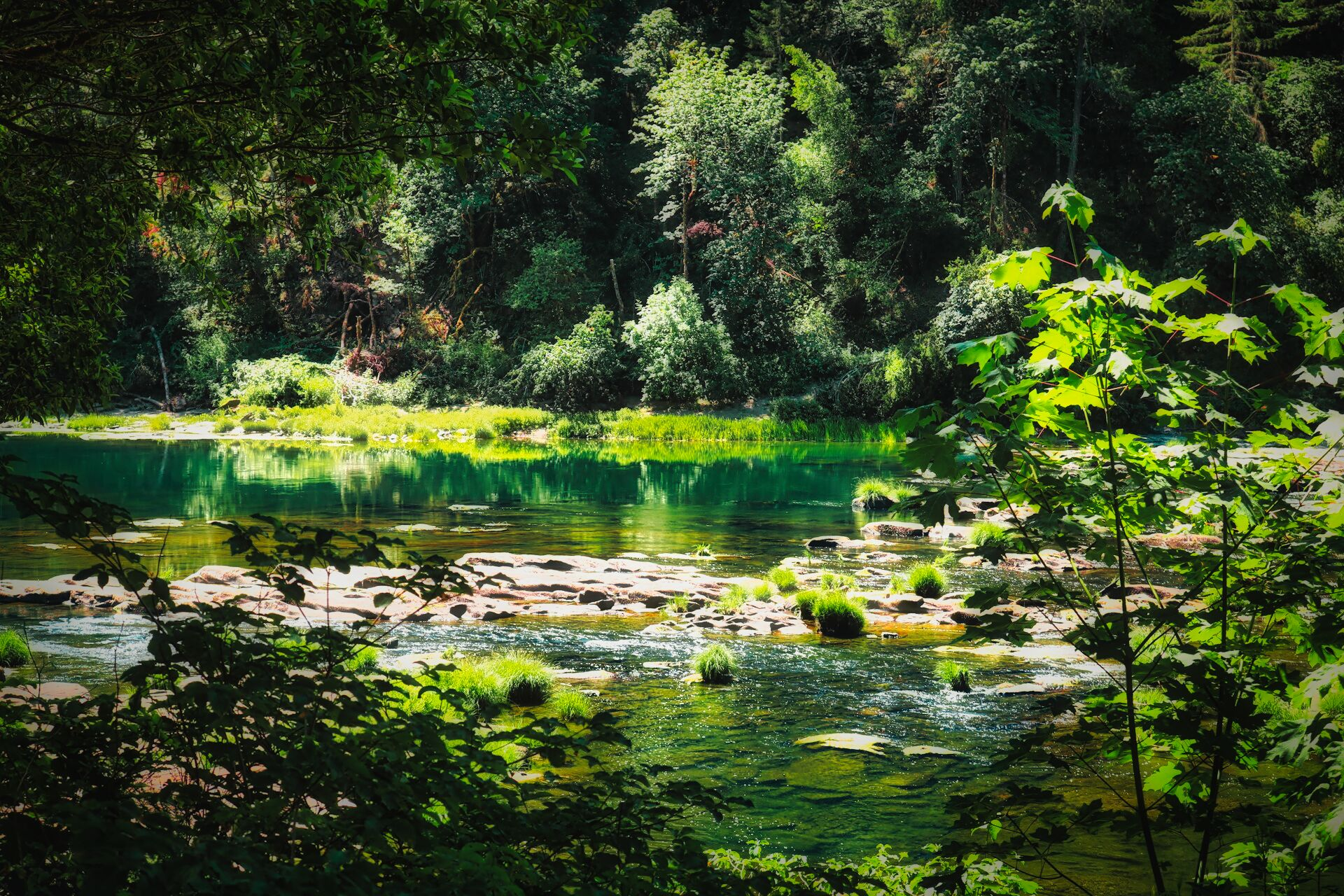 lazy-summer-afternoon