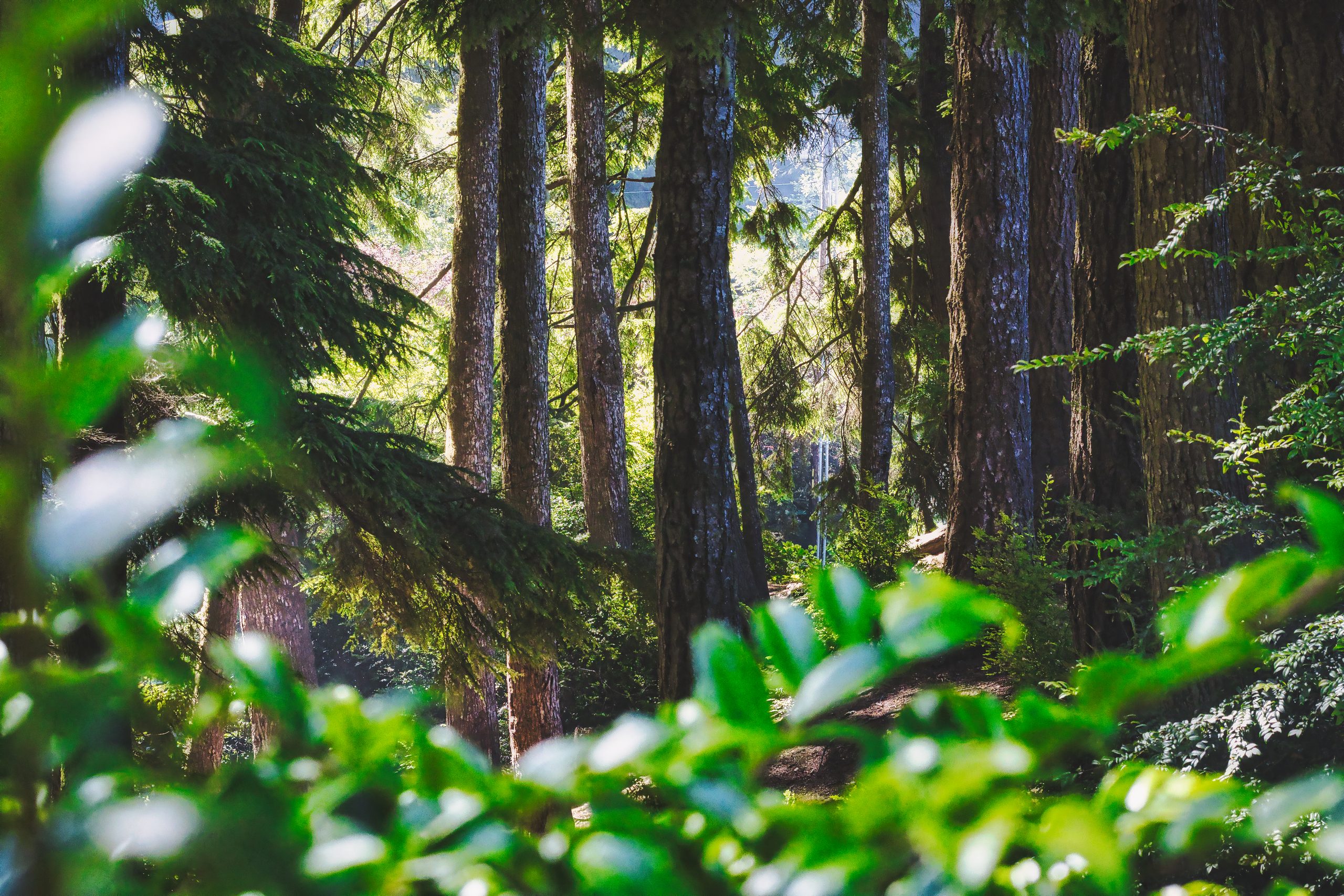 Camping At Umpqua Lighthouse State Park, Oregon