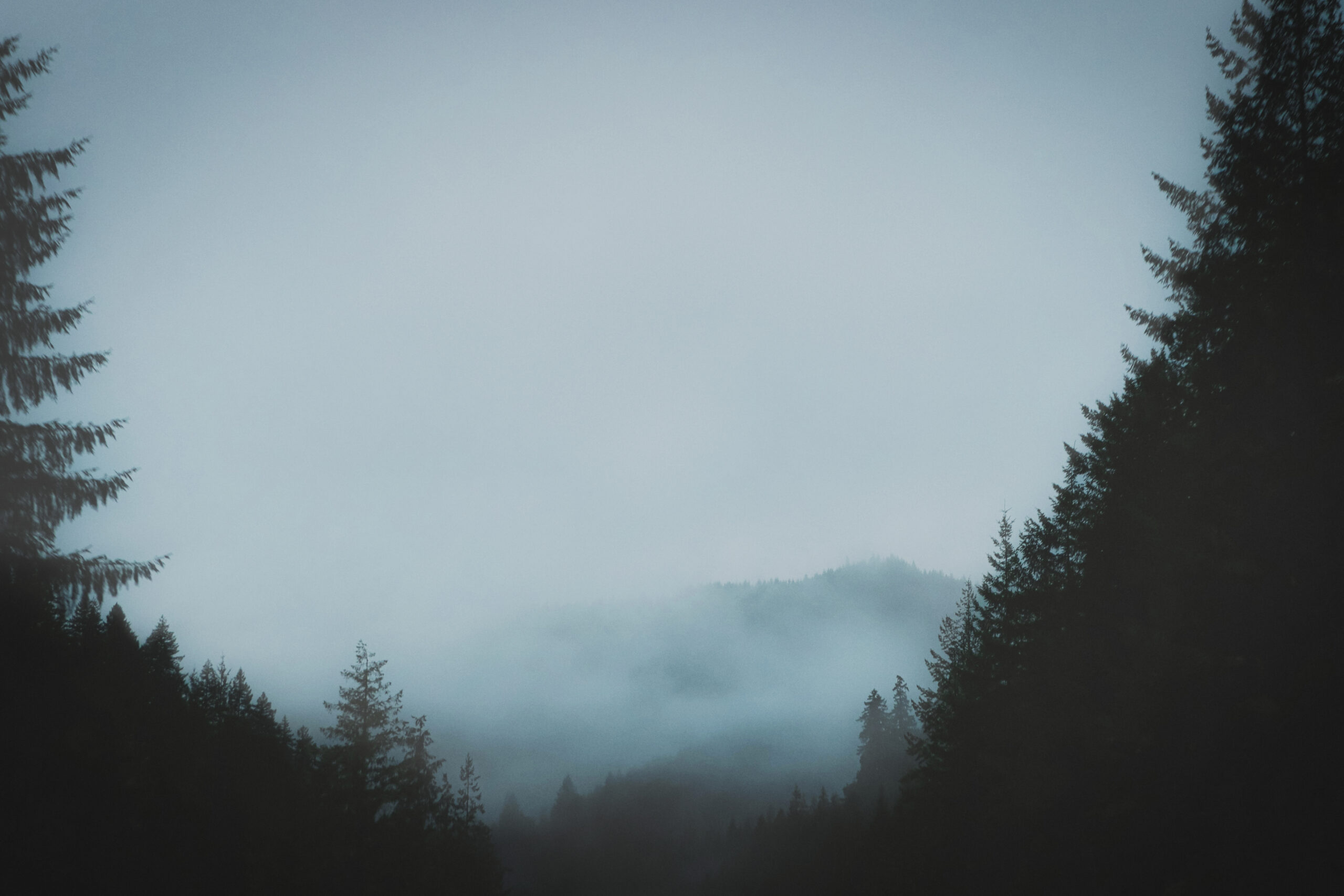 whispering-trees