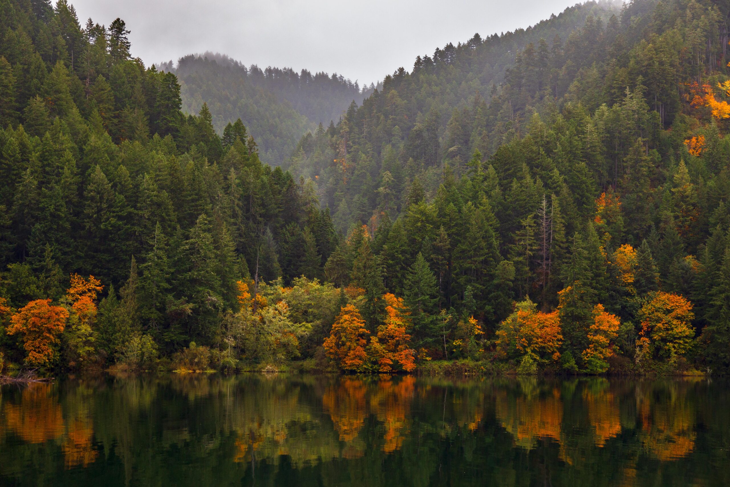 fall