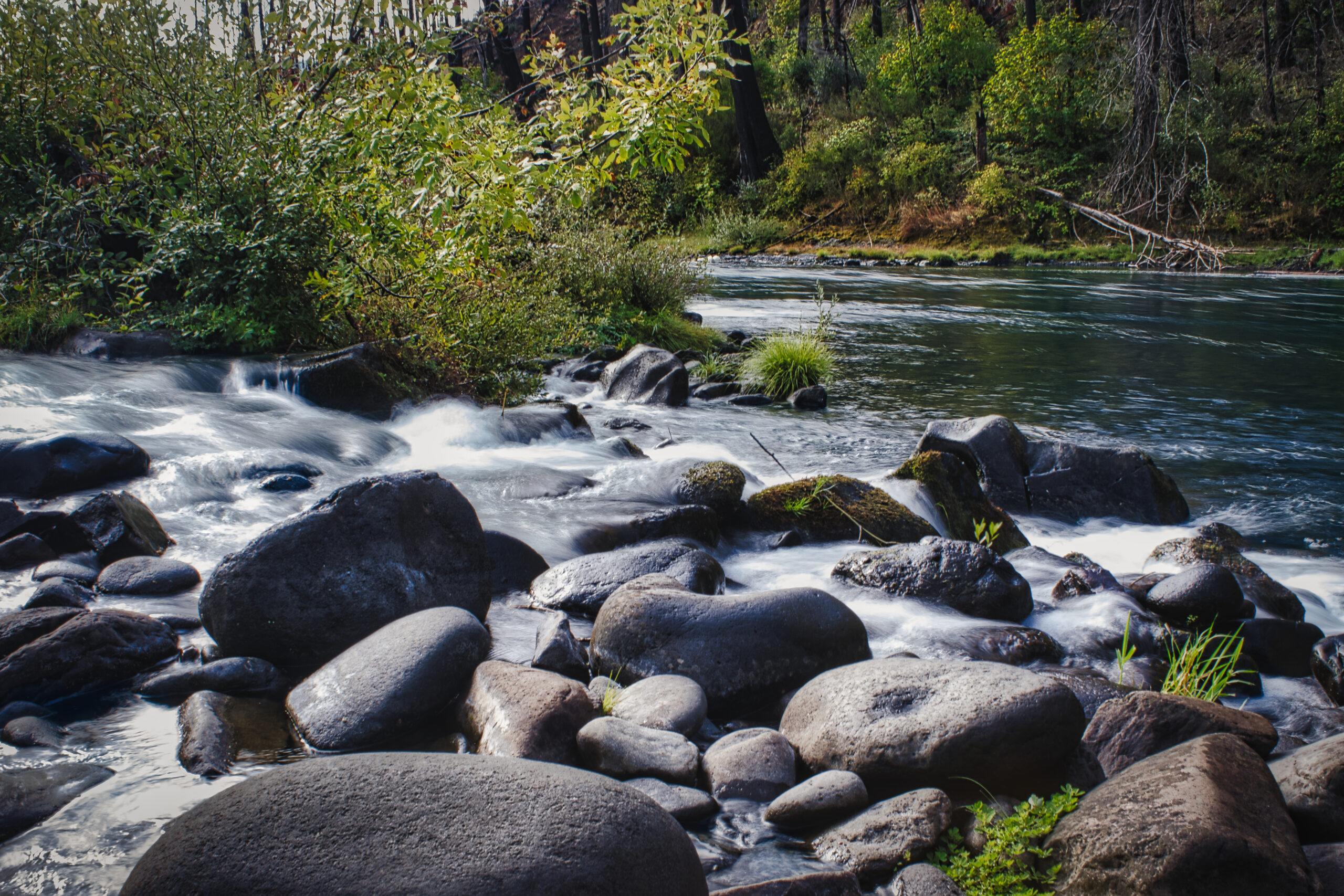 Why Fly Fishing In The Great PNW?